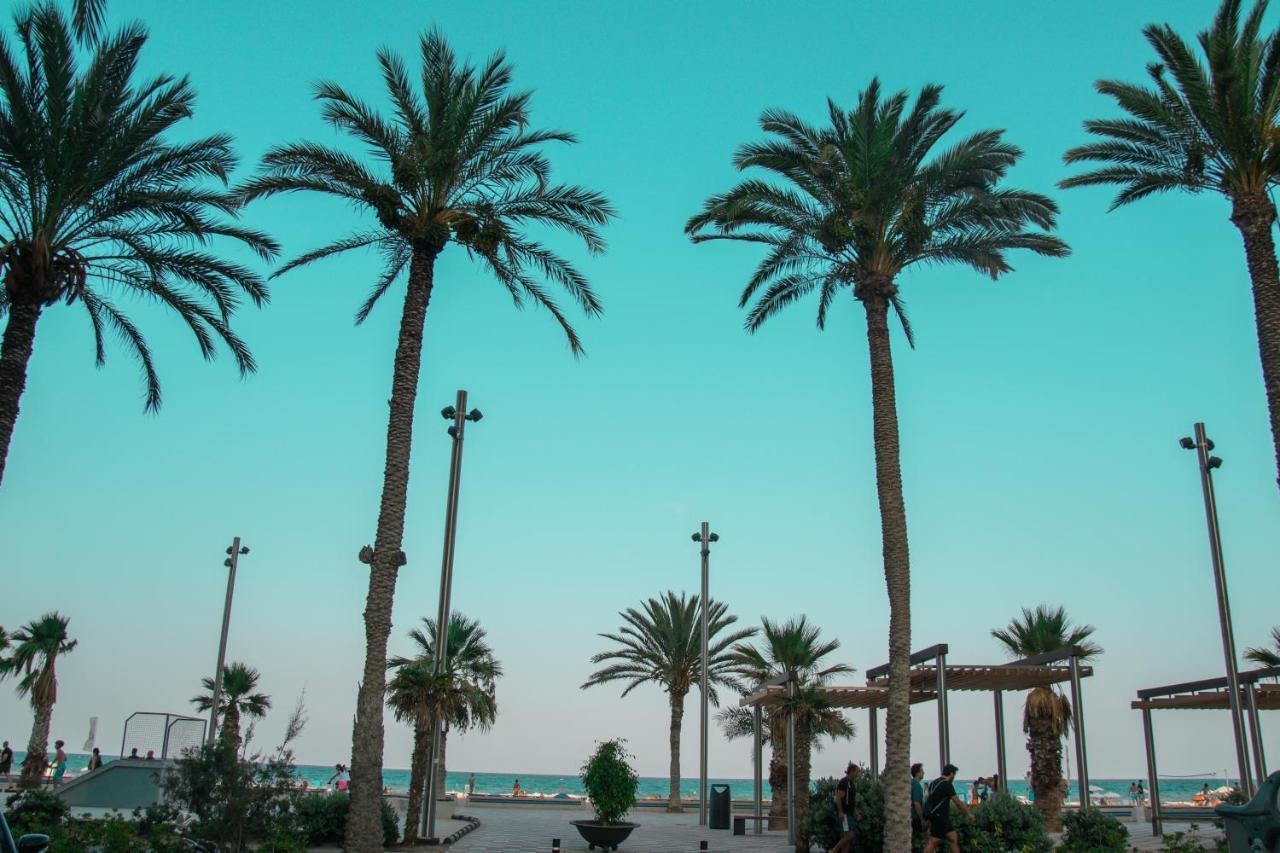 Texas Daire Alicante Dış mekan fotoğraf