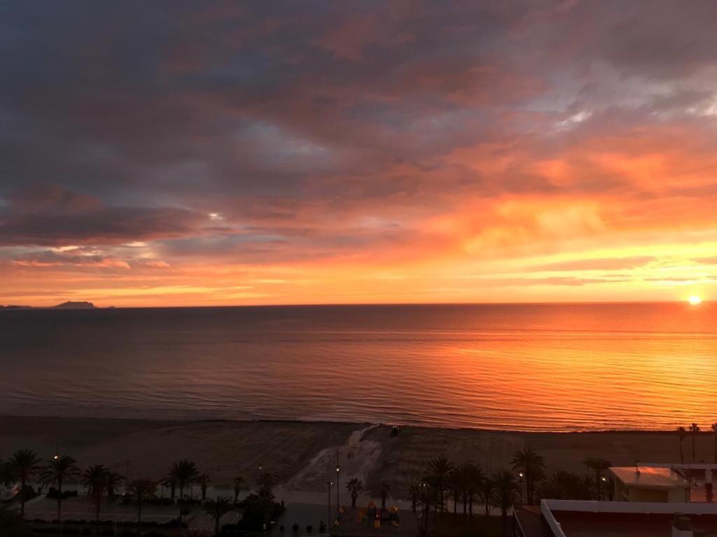 Texas Daire Alicante Dış mekan fotoğraf
